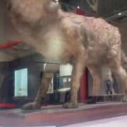 ヒメ日記 2025/06/10 06:16 投稿 司（ツカサ） アバンチュール(五反田)