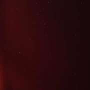 ヒメ日記 2025/11/19 20:31 投稿 司（ツカサ） アバンチュール(五反田)