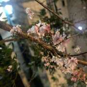 ヒメ日記 2025/12/23 20:01 投稿 司（ツカサ） アバンチュール(五反田)