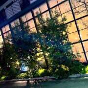 ヒメ日記 2025/12/24 13:16 投稿 司（ツカサ） アバンチュール(五反田)