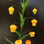 ヒメ日記 2026/04/01 18:01 投稿 司（ツカサ） アバンチュール(五反田)