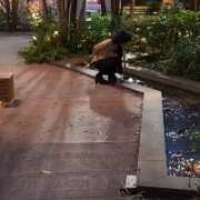 ヒメ日記 2026/04/05 20:31 投稿 司（ツカサ） アバンチュール(五反田)