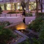 ヒメ日記 2026/04/08 13:16 投稿 司（ツカサ） アバンチュール(五反田)