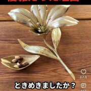 ヒメ日記 2026/08/19 13:31 投稿 司（ツカサ） アバンチュール(五反田)