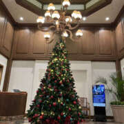 ヒメ日記 2024/12/22 08:45 投稿 ほたる 奥鉄オクテツ神奈川店（デリヘル市場グループ）