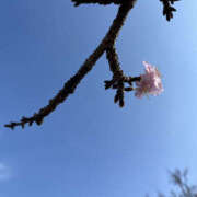 ヒメ日記 2025/02/21 09:45 投稿 ほたる 奥鉄オクテツ神奈川店（デリヘル市場グループ）