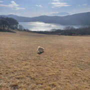 ヒメ日記 2025/03/20 22:00 投稿 ほたる 奥鉄オクテツ神奈川店（デリヘル市場グループ）