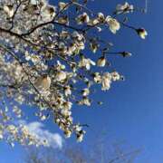 ヒメ日記 2025/03/22 19:05 投稿 ほたる 奥鉄オクテツ神奈川店（デリヘル市場グループ）