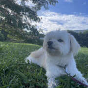 ヒメ日記 2025/05/18 07:45 投稿 ほたる 奥鉄オクテツ神奈川店（デリヘル市場グループ）