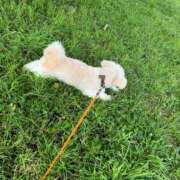 ヒメ日記 2025/06/02 08:00 投稿 ほたる 奥鉄オクテツ神奈川店（デリヘル市場グループ）