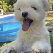 ヒメ日記 2025/06/05 09:20 投稿 ほたる 奥鉄オクテツ神奈川店（デリヘル市場グループ）