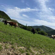 ヒメ日記 2025/06/08 14:00 投稿 ほたる 奥鉄オクテツ神奈川店（デリヘル市場グループ）