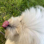 ヒメ日記 2025/07/03 09:00 投稿 ほたる 奥鉄オクテツ神奈川店（デリヘル市場グループ）