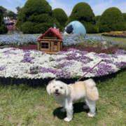 ヒメ日記 2025/10/18 09:00 投稿 ほたる 奥鉄オクテツ神奈川店（デリヘル市場グループ）