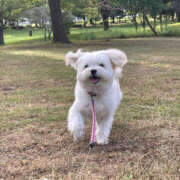 ヒメ日記 2025/11/03 08:00 投稿 ほたる 奥鉄オクテツ神奈川店（デリヘル市場グループ）