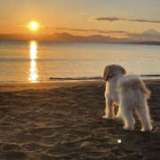 ヒメ日記 2025/11/06 16:40 投稿 ほたる 奥鉄オクテツ神奈川店（デリヘル市場グループ）
