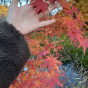 ヒメ日記 2025/11/12 20:00 投稿 ほたる 奥鉄オクテツ神奈川店（デリヘル市場グループ）