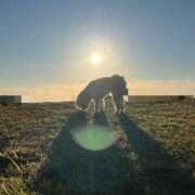 ヒメ日記 2025/11/16 08:20 投稿 ほたる 奥鉄オクテツ神奈川店（デリヘル市場グループ）