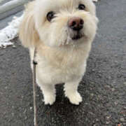 ヒメ日記 2026/02/09 04:00 投稿 ほたる 奥鉄オクテツ神奈川店（デリヘル市場グループ）