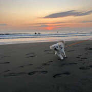 ヒメ日記 2026/02/17 09:00 投稿 ほたる 奥鉄オクテツ神奈川店（デリヘル市場グループ）
