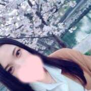 ヒメ日記 2025/04/11 09:48 投稿 みみ『ガール』 ディオーネ