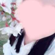 ヒメ日記 2025/05/02 19:34 投稿 みみ『ガール』 ディオーネ