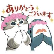 ヒメ日記 2025/07/09 14:18 投稿 みみ『ガール』 ディオーネ