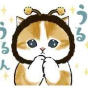 ヒメ日記 2025/07/16 15:39 投稿 みみ『ガール』 ディオーネ