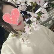 ヒメ日記 2026/04/04 00:30 投稿 みみ『ガール』 ディオーネ