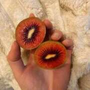 ヒメ日記 2026/04/04 18:49 投稿 みみ『ガール』 ディオーネ