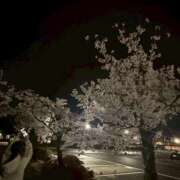 ヒメ日記 2026/04/06 13:39 投稿 みみ『ガール』 ディオーネ