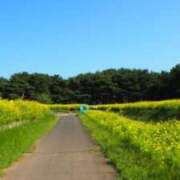 ヒメ日記 2025/09/22 11:31 投稿 なな チェックイン横浜女学園