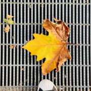 ヒメ日記 2025/10/26 13:11 投稿 なな チェックイン横浜女学園