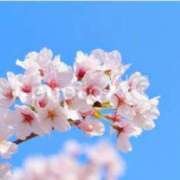 ヒメ日記 2026/04/02 17:16 投稿 なな チェックイン横浜女学園