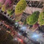 ヒメ日記 2025/12/17 17:59 投稿 松永さら 一夜妻