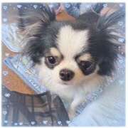 ヒメ日記 2025/10/05 15:37 投稿 かれん ハピネス東京