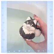 ヒメ日記 2025/10/27 05:07 投稿 かれん ハピネス東京