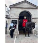 ヒメ日記 2025/12/08 13:39 投稿 かれん ハピネス東京