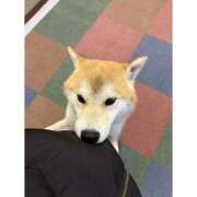 ヒメ日記 2026/01/16 14:07 投稿 かれん ハピネス東京