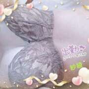 ヒメ日記 2025/02/15 13:16 投稿 浜崎紗綾 プルデリR40