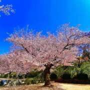 ヒメ日記 2025/04/07 20:52 投稿 まなみ 奥様鉄道69 FC山口店(周南)