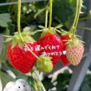 ヒメ日記 2026/03/11 23:32 投稿 なな Club Baccarat