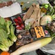 ヒメ日記 2025/03/03 10:00 投稿 すみれ Body Special(ボディスペシャル)