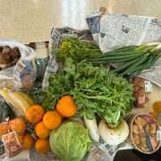 ヒメ日記 2025/03/30 17:41 投稿 すみれ Body Special(ボディスペシャル)