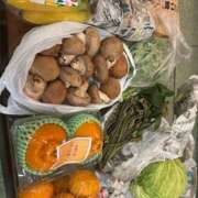 ヒメ日記 2025/04/22 06:49 投稿 すみれ Body Special(ボディスペシャル)