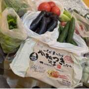 ヒメ日記 2025/07/14 07:51 投稿 すみれ Body Special(ボディスペシャル)