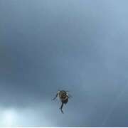 ヒメ日記 2025/11/20 07:51 投稿 すみれ Body Special(ボディスペシャル)