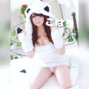 ヒメ日記 2025/07/26 12:13 投稿 こはる 横浜ハッピーマットパラダイス