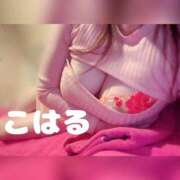 ヒメ日記 2025/08/09 11:53 投稿 こはる 横浜ハッピーマットパラダイス