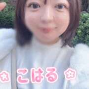 ヒメ日記 2025/09/15 07:33 投稿 こはる 横浜ハッピーマットパラダイス